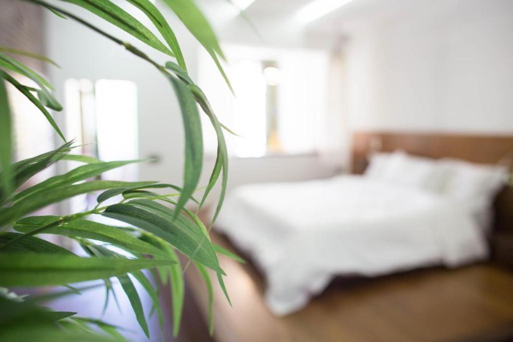 Madeira Loft I - City Center Funchal  Bagian luar foto